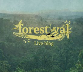 Forestival Live-Blog