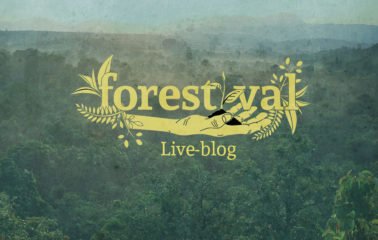 Forestival Live-Blog